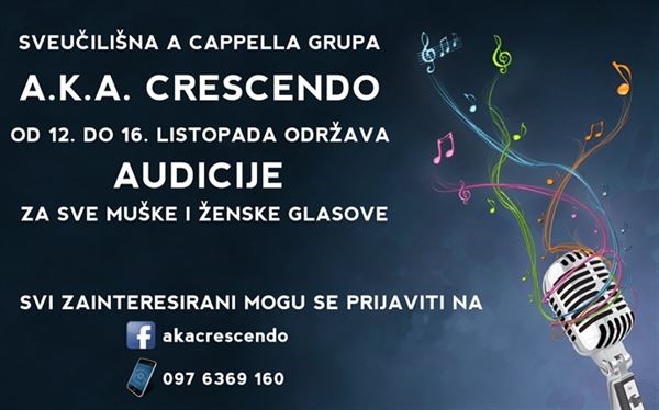 Poziv na audiciju